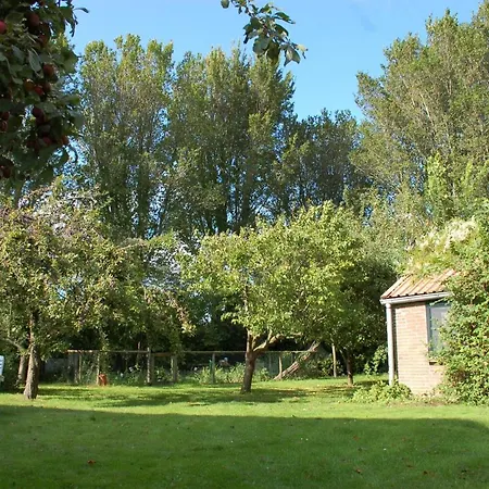 Bed & Breakfast Nova Hippolytushoef