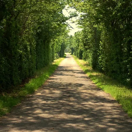 Nova 4* Hippolytushoef