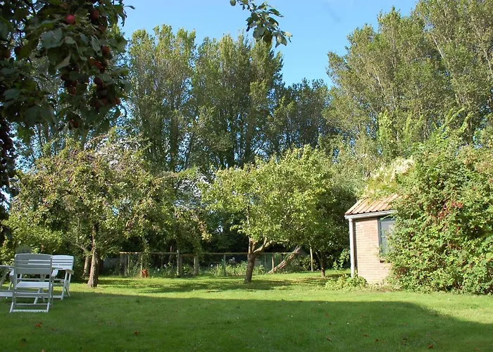 Bed & Breakfast Nova Hippolytushoef