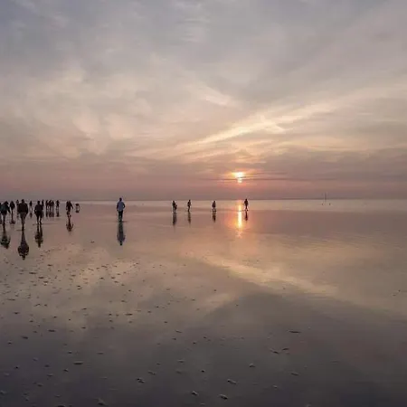 Nova Alojamento de Acomodação e Pequeno-almoço