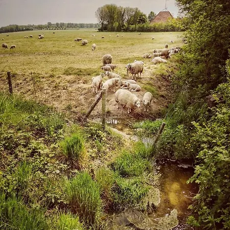 Alojamento de Acomodação e Pequeno-almoço Nova Hippolytushoef