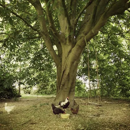 Nova Alojamento de Acomodação e Pequeno-almoço