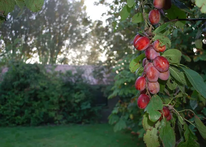 Nova Bed and breakfast Hippolytushoef