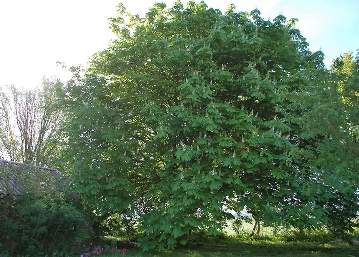 Nova Bed and breakfast