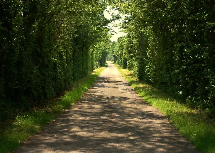 Nova 4* Hippolytushoef