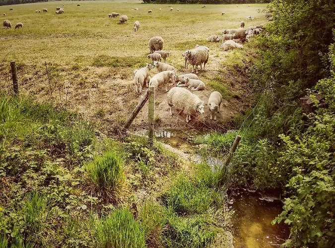 Bed and breakfast Nova Hippolytushoef