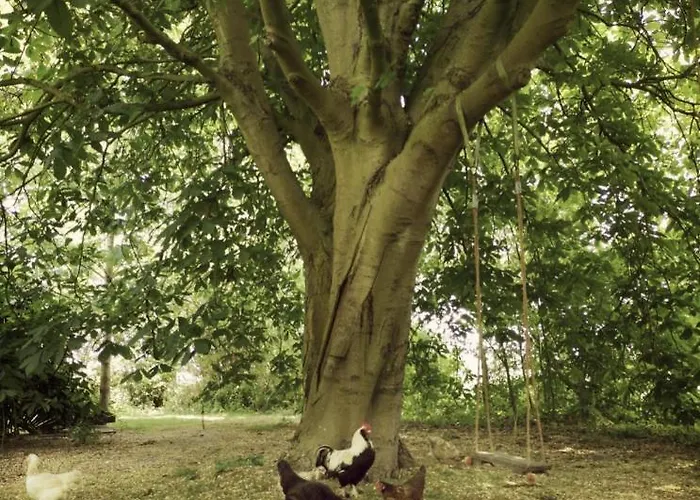 Nova Bed and breakfast